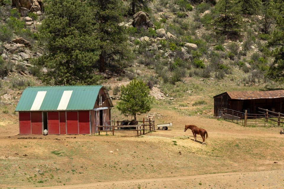 Where the animals live!