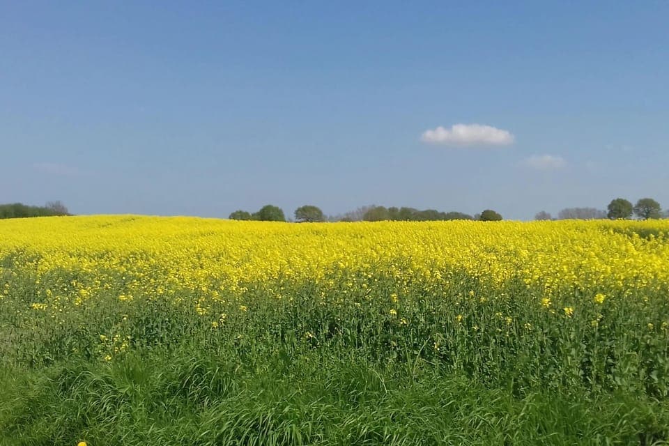Surroundings [summer] (1-5 km)