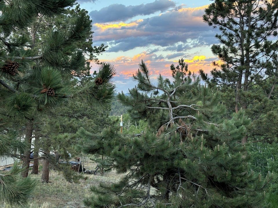 View from our deck