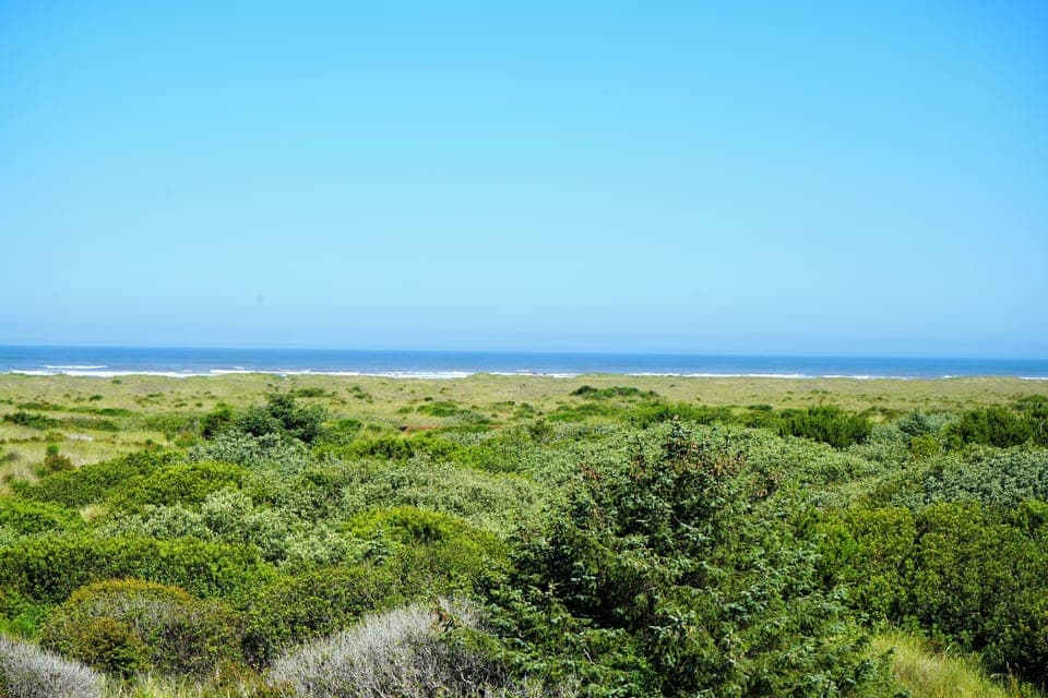 Luxury Room, 1 King Bed with Sofa bed, Non Smoking, Ocean View | Balcony