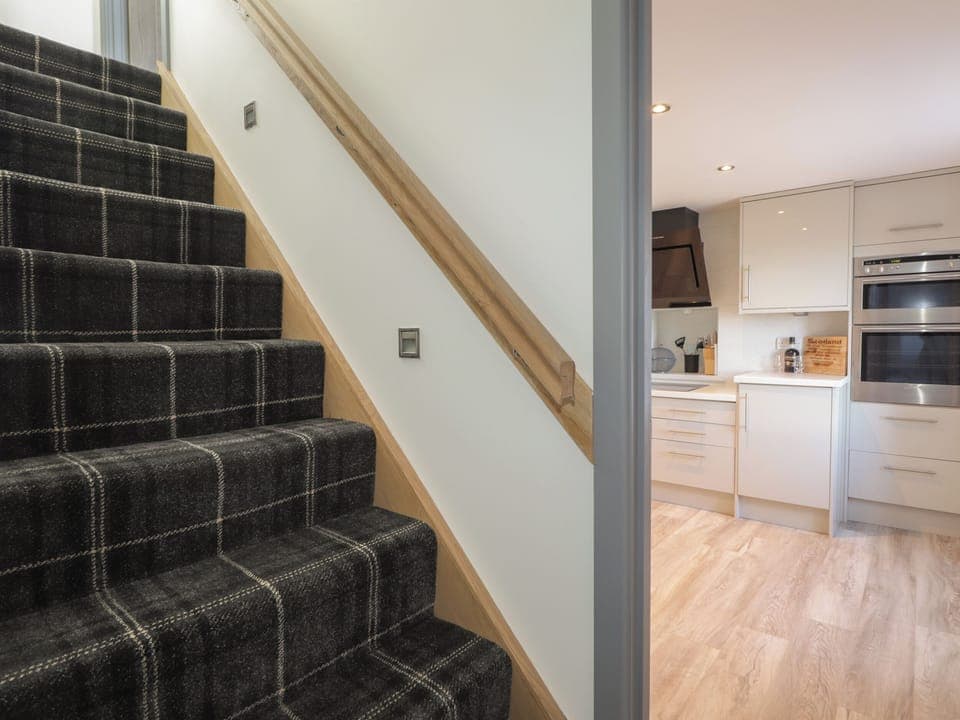 Dishwasher, electric kettle, toaster, cookware/dishes/utensils