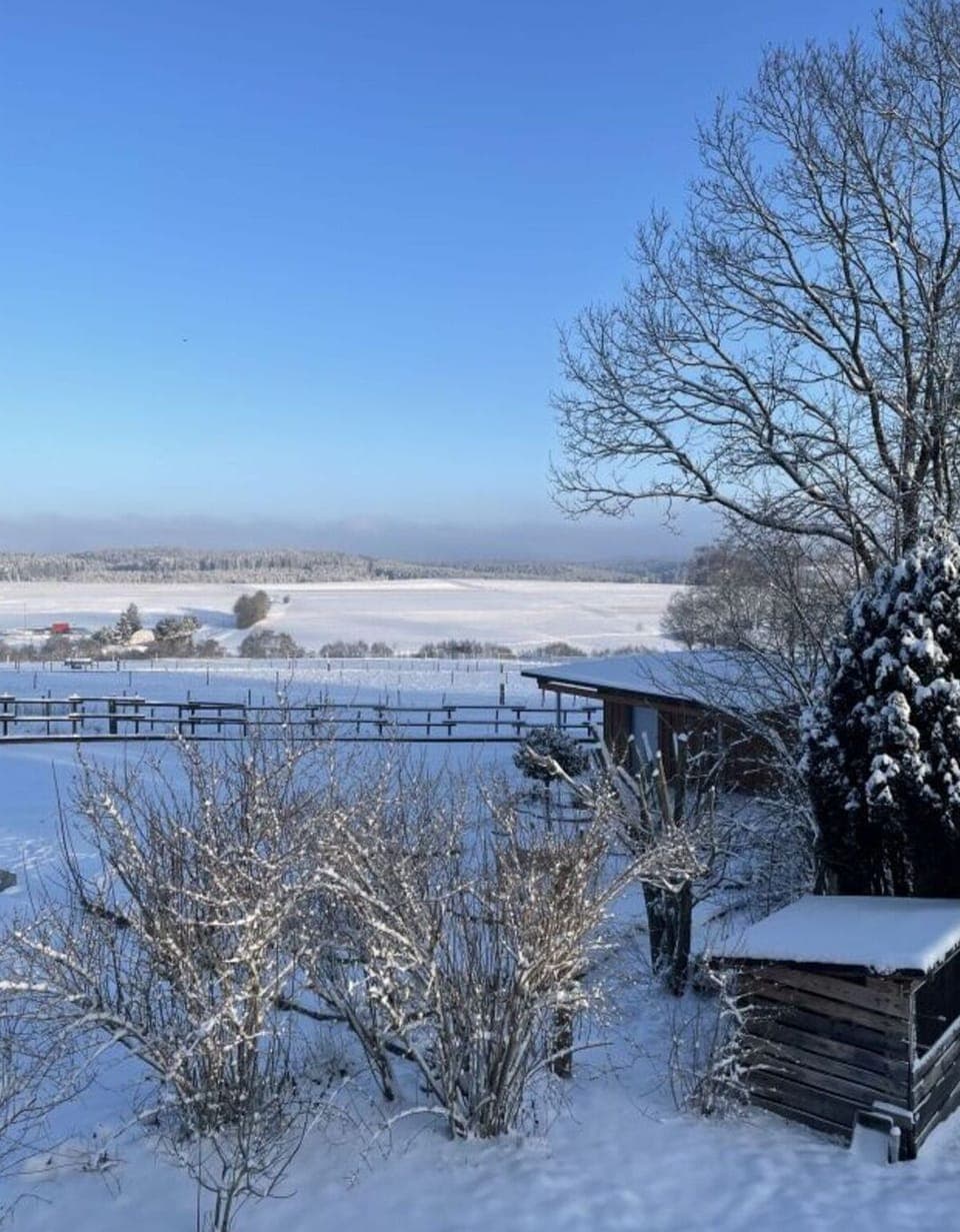 View from Holiday Home [winter]