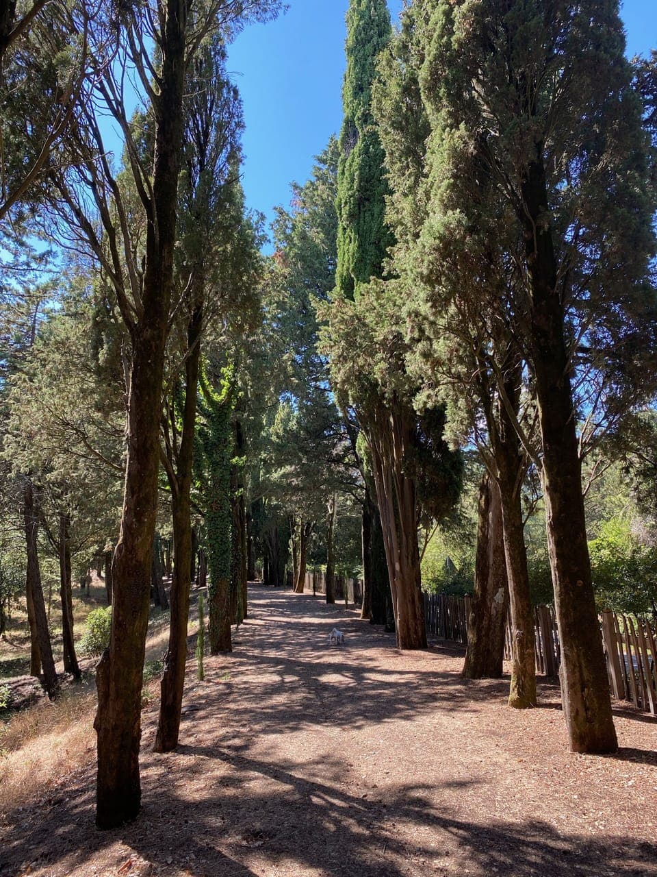 Land view from property