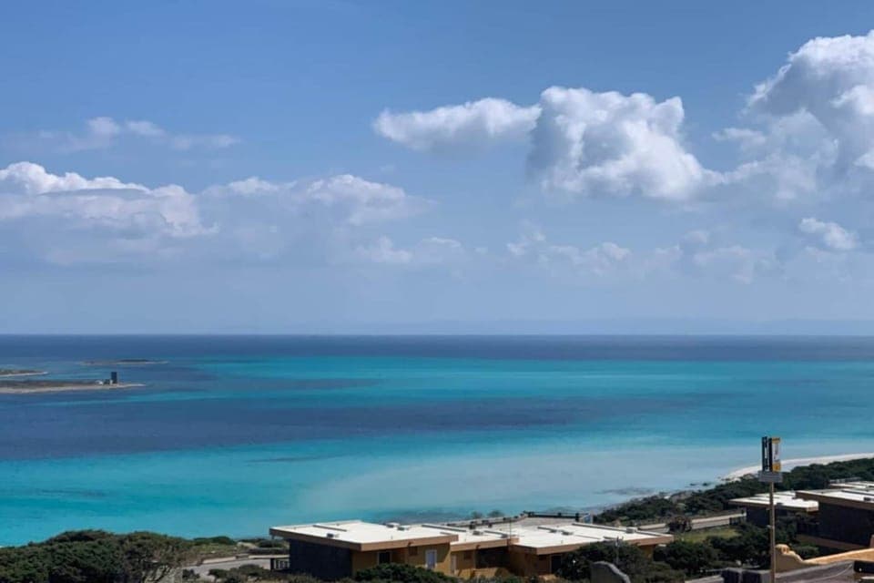 Region [summer] (>5 km)