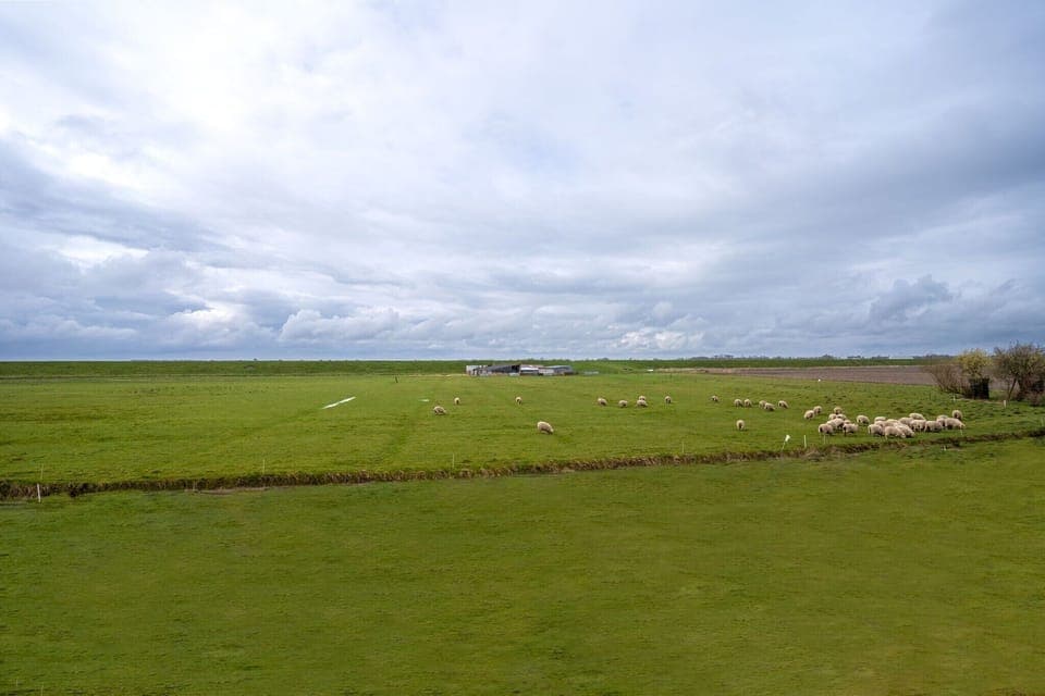 Surroundings [summer] (1-5 km)