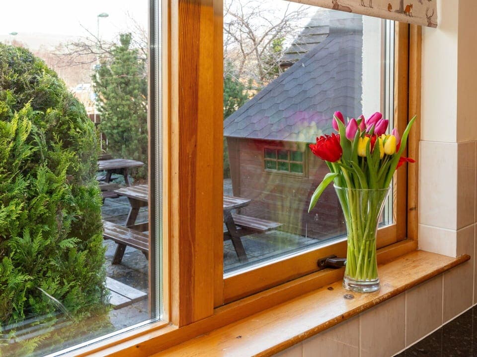 Flower, Plant, Window, Building, Botany, Wood, Interior Design, Vase, Flowerpot