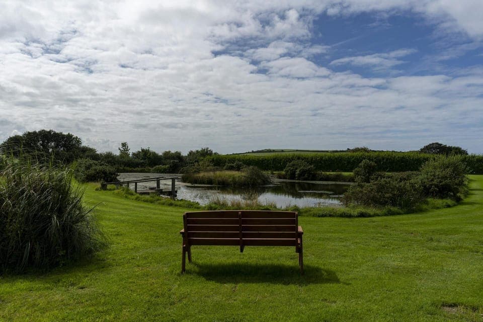 Cnwc Y Boidy garden bench overlooking the pond with a jetty