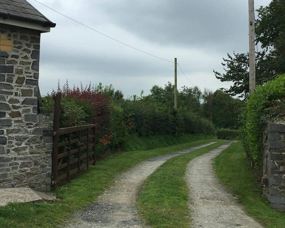 Drive and gate at Brynonnen