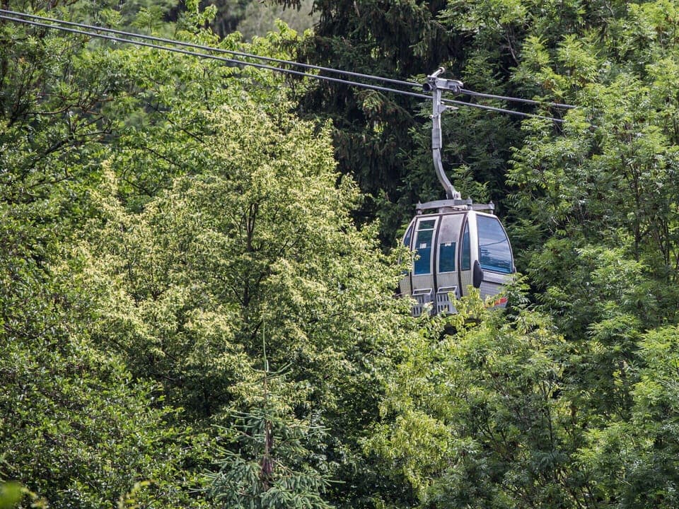 Vehicle, Cable Car, Tree, Window, Natural Landscape, Forest, Grass, Landscape, Electric Blue, Slope