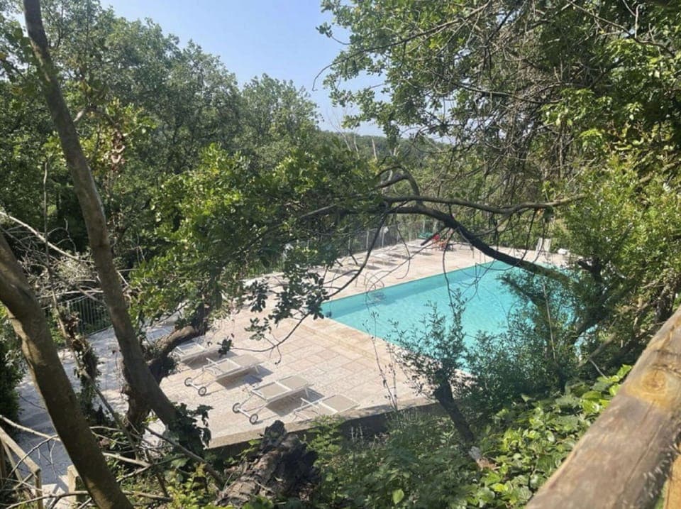 Water, Plant, Tree, Swimming Pool, Natural Landscape, Shade, Sky, Leisure, Landscape, Urban Design