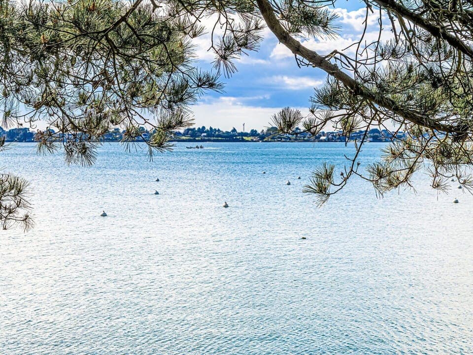 Blue, Water, Water Resources, Daytime, Body Of Water, Nature, Branch, Lake