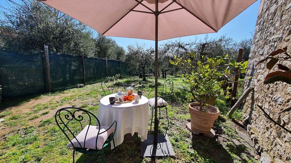 Plant, Furniture, Property, Table, Chair, Umbrella, Outdoor Table, Flowerpot, Shade, Outdoor Furniture