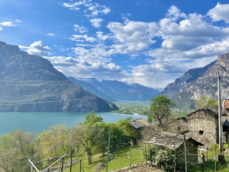 Plant, Table, Furniture, Property, Flowerpot, Building, Houseplant, Shade, Outdoor Furniture, Architecture