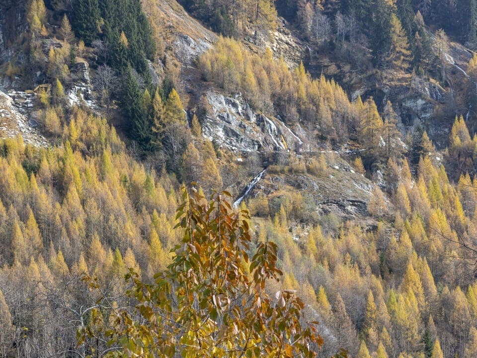 Mountainous Landforms, Mountain, Wilderness, Larch, Forest, Geology, Bedrock