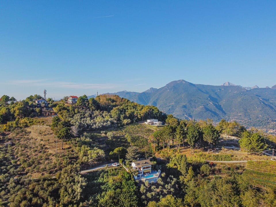 Wood, Lighting, Interior Design, Flooring, Floor, Living Room, Real Estate, Hardwood, Table, Beam