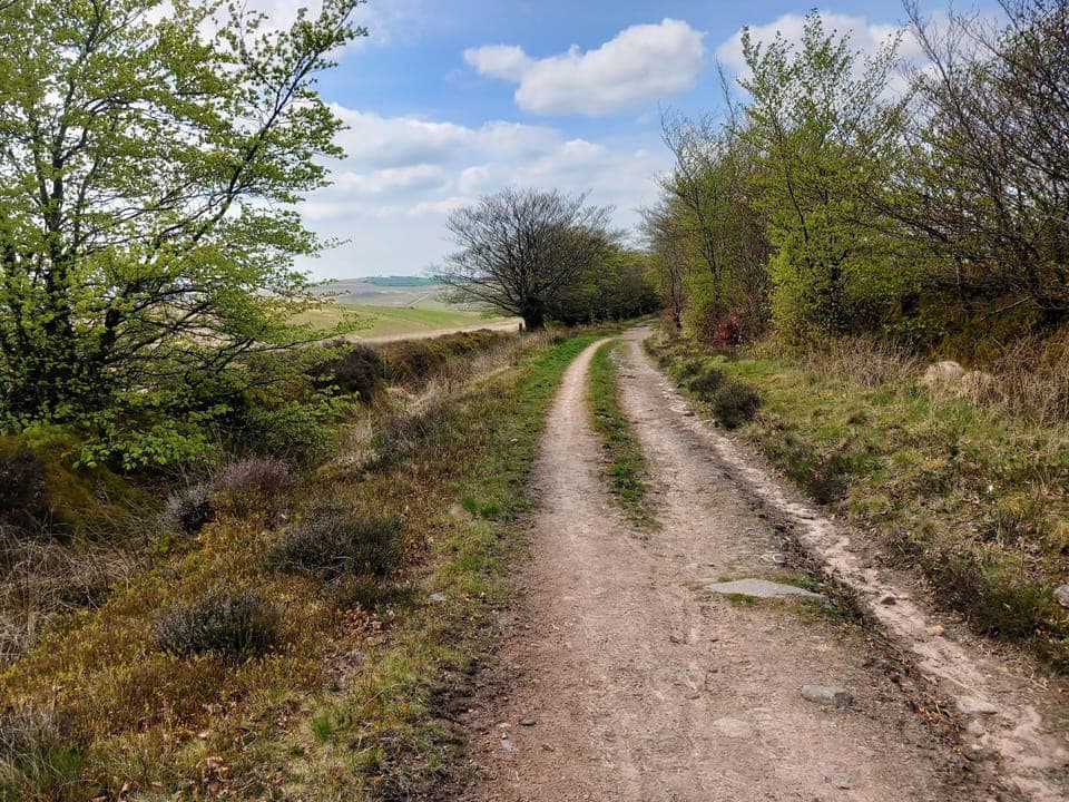 Beyond Withypoole Common, along the boundary of the Carnarvon Estate.