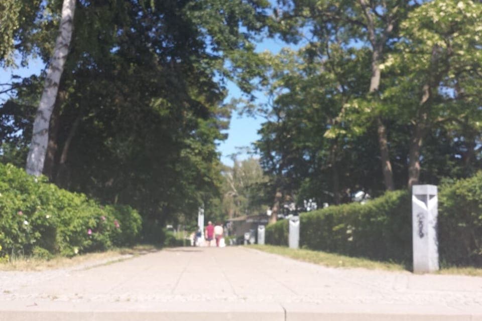 Surroundings [summer] (1-5 km)