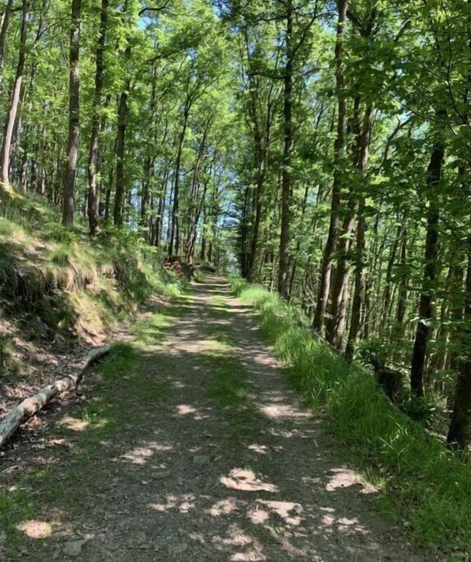 Surroundings [summer] (1-5 km)