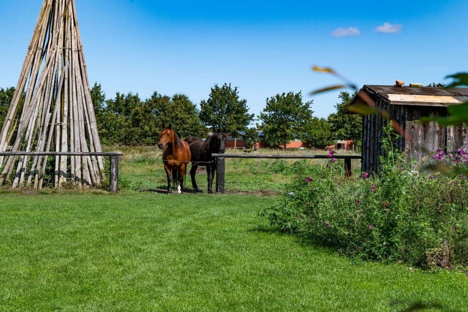 Immediate Surroundings [summer] (<1 km)