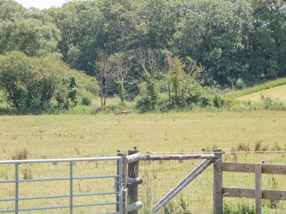 2 bedrooms, individually decorated, individually furnished, free WiFi