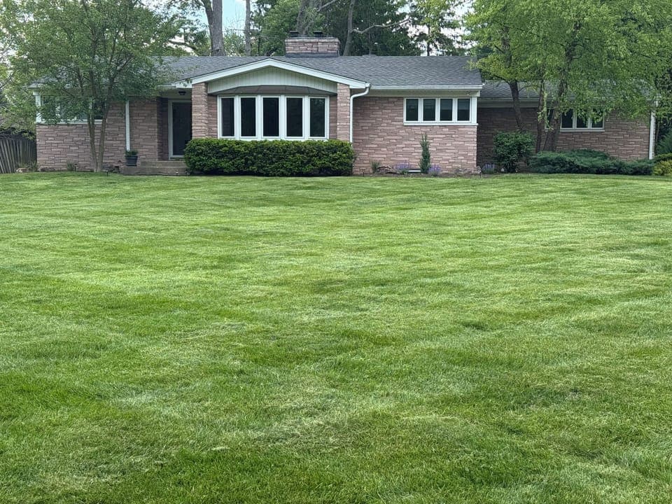 Front yard