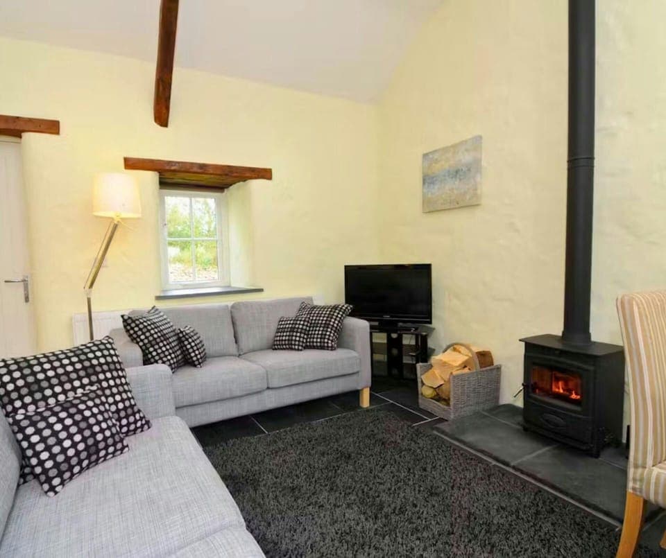 Two sofas, standard lamp, wood burner, TV on unit
