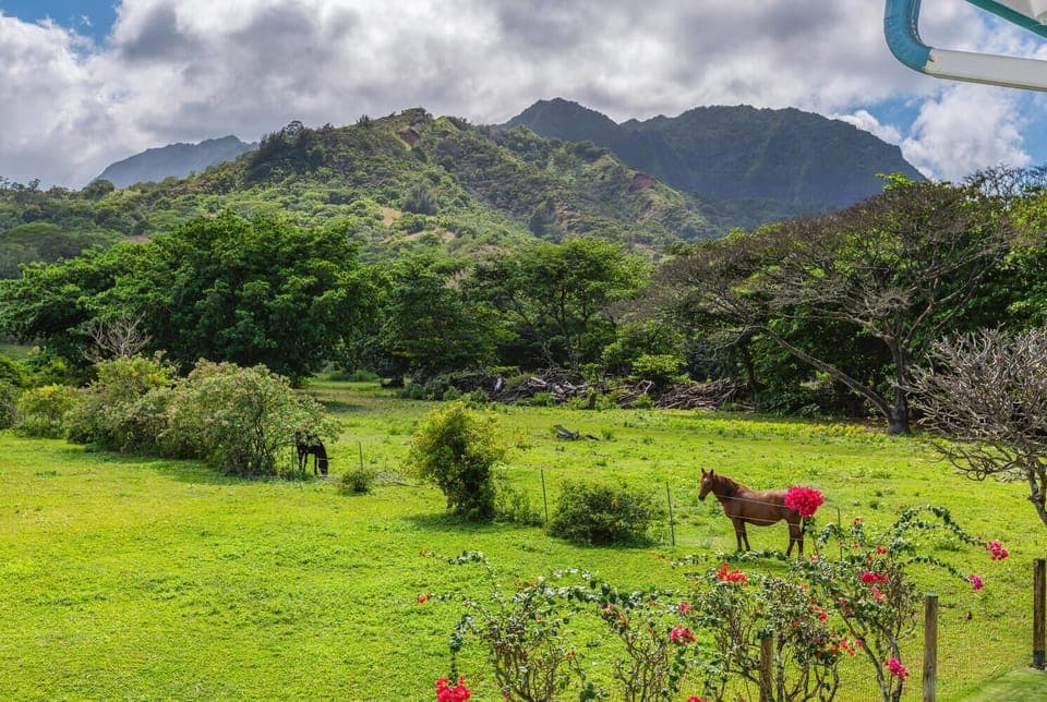 View from master lanai