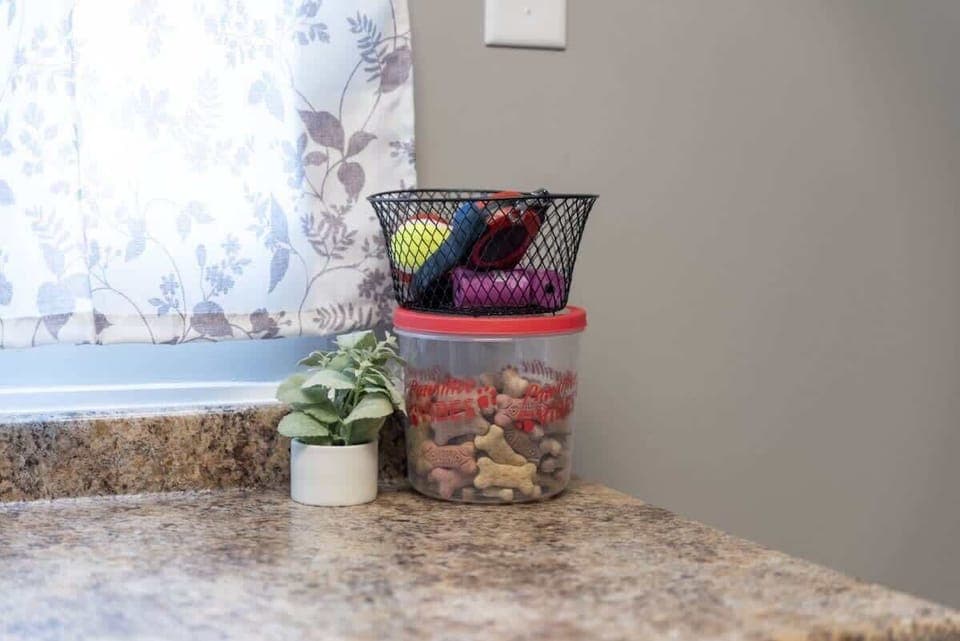 - Kitchen counter with dog treats and pet friendly vibes   - Pet essentials like toys and leashes ready for guests   - Perfect for traveling families bringing furry friends  