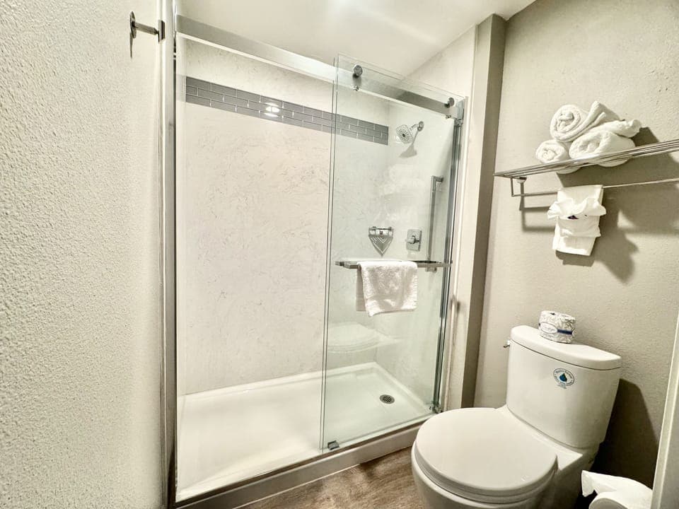 Shower, towels, soap, toilet paper