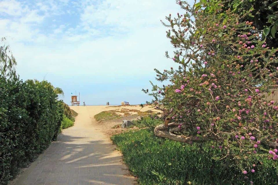 Walkway to Beach