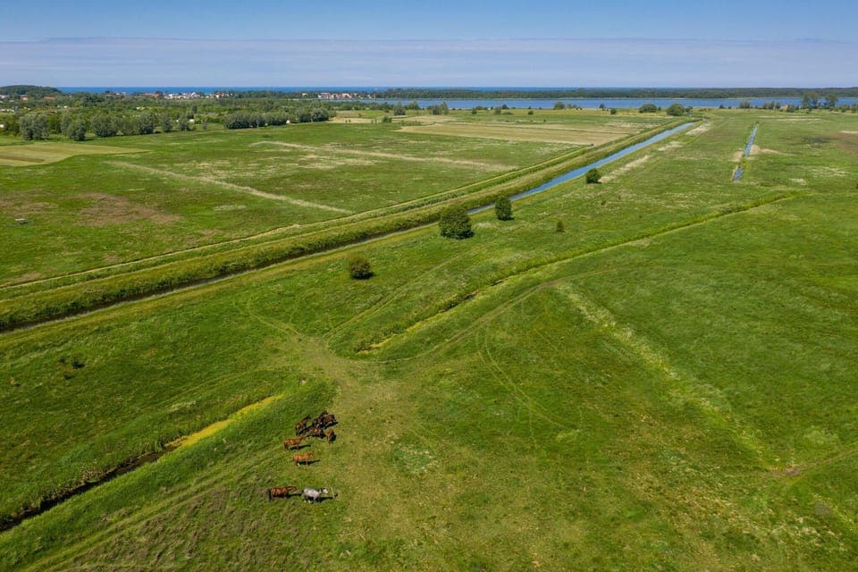 Immediate Surroundings [summer] (<1 km)