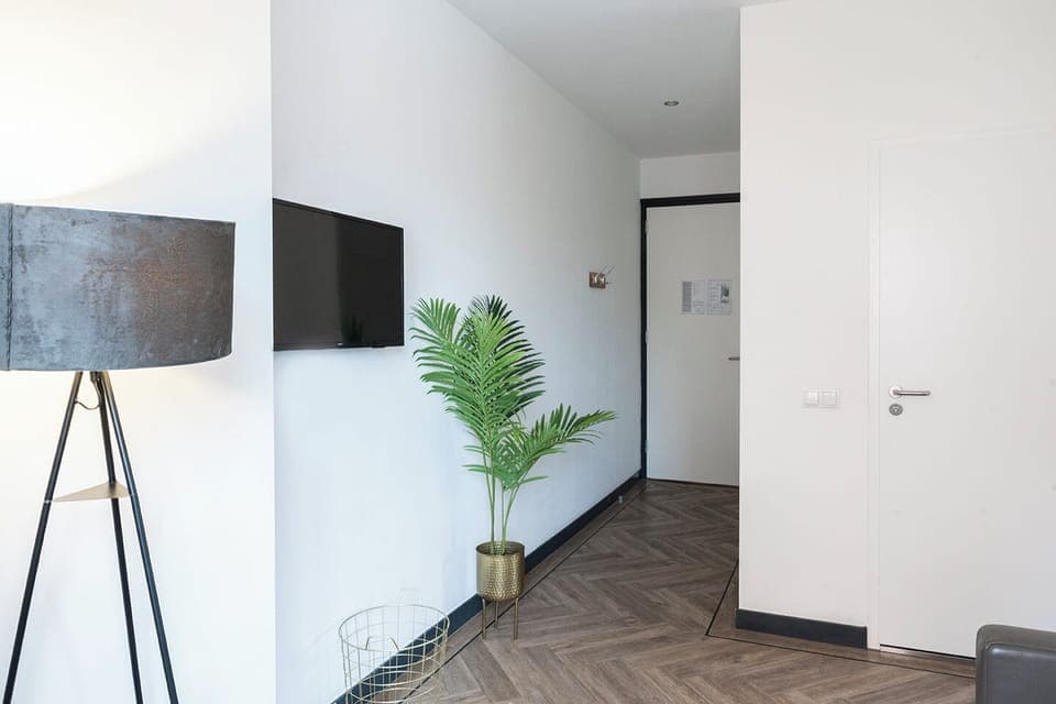 A spacious entryway with a decorative floor lamp, vibrant plant, and a clean, minimalistic design that leads into the rest of the living space.