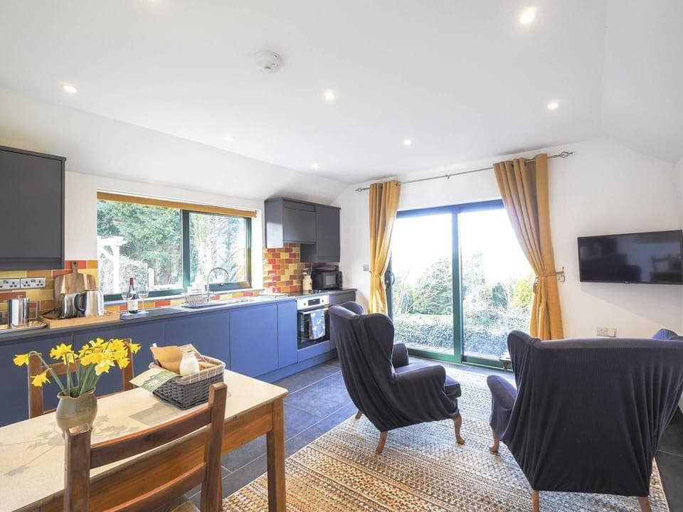 Dining table and chairs with a vase of flowers, armchairs and TV