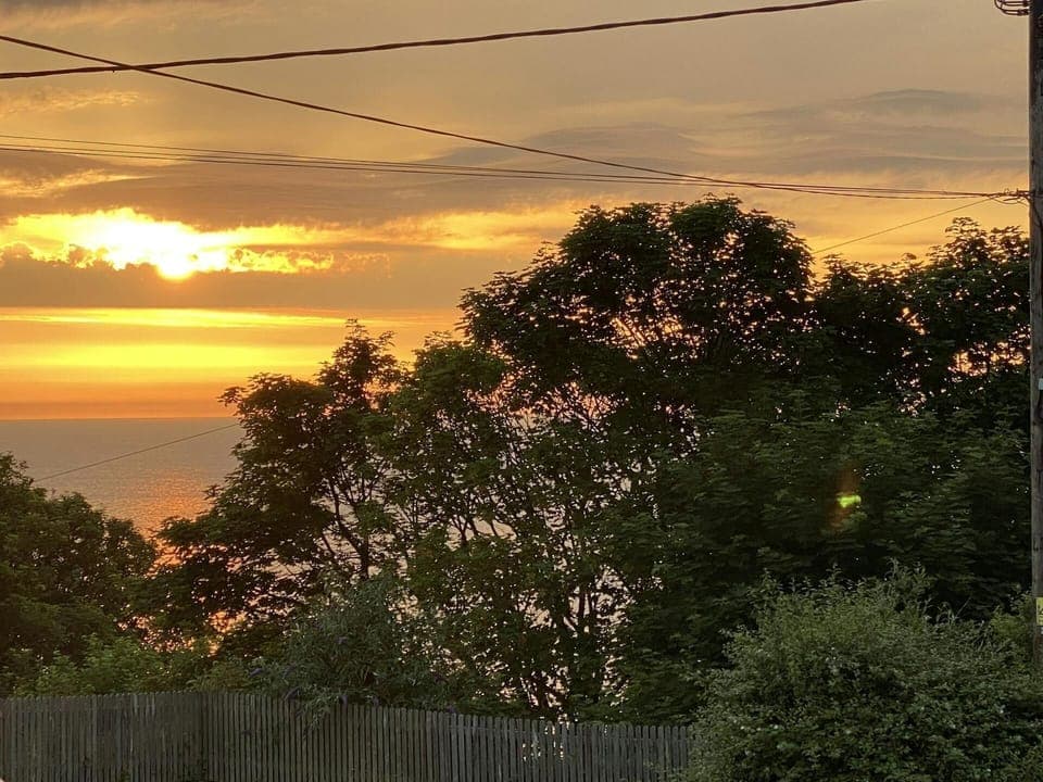 View of the sunset over the horizon of trees.