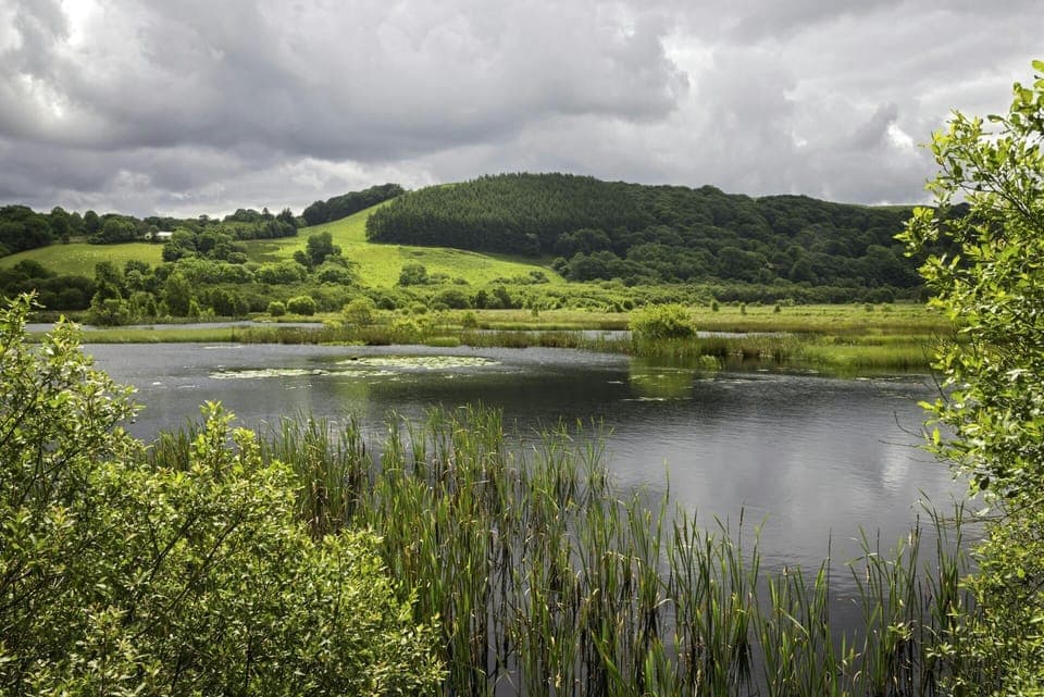 Cors Caron, Tregaron Bog with reeds and countryside views