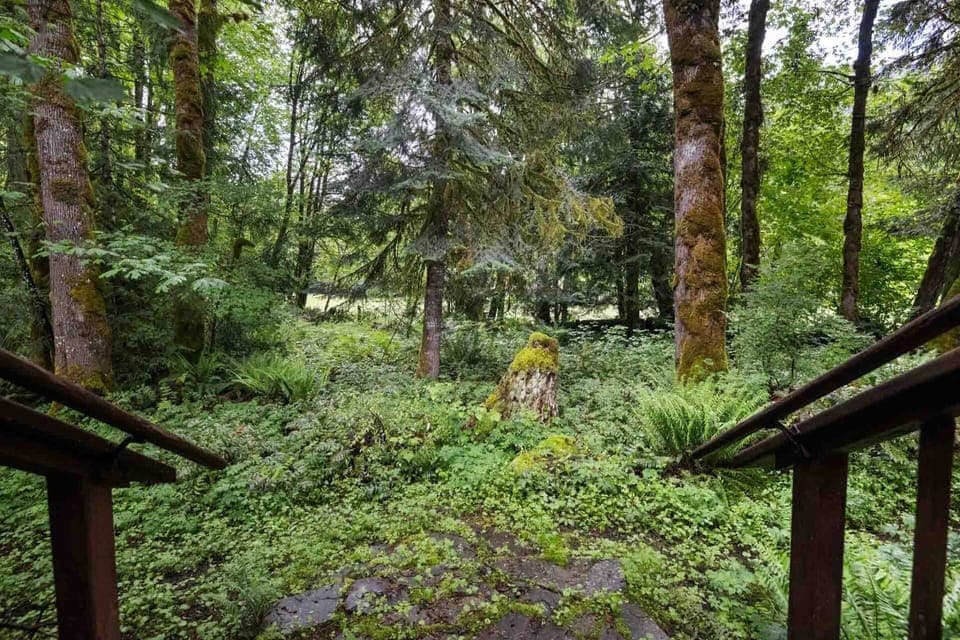 Mount Hood is a fantastic place for winter sports. There are multiple great spots to ski, snowboard, sled, and hike.