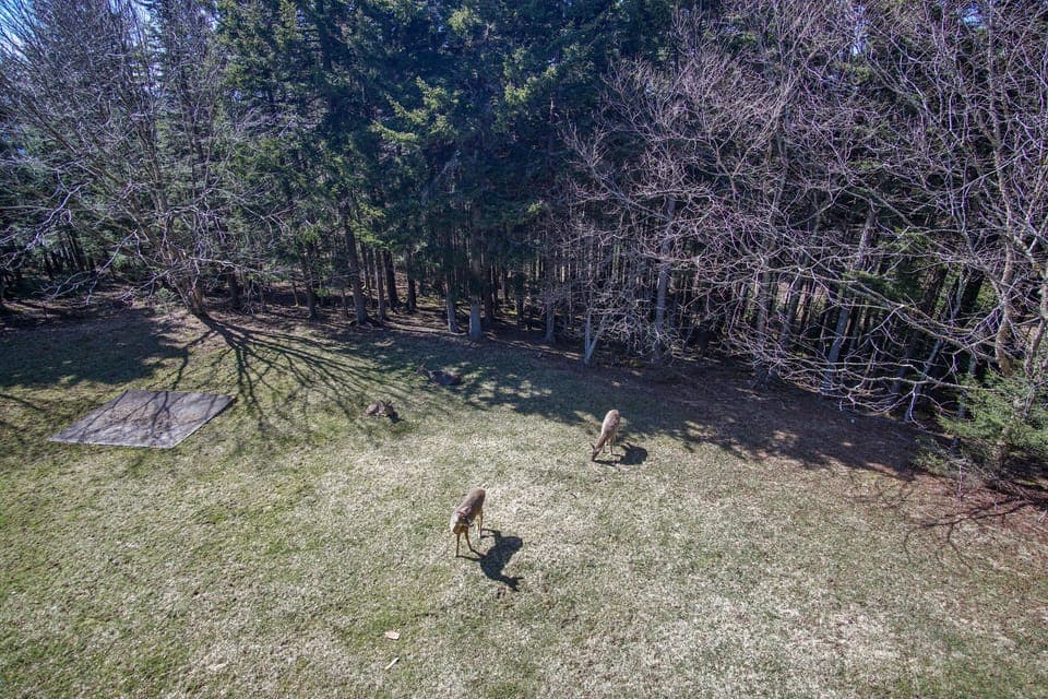 View off the balcony