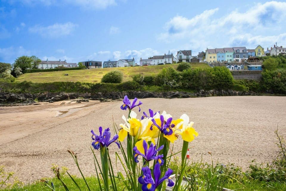 Flowers in the foreground across to the beach at Aberporth