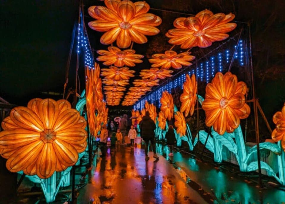 Woodland Park Zoo Wild Lights!