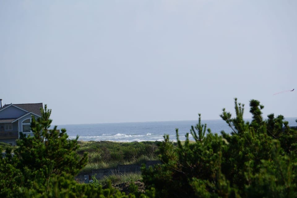 1333  Vacation by the Sea