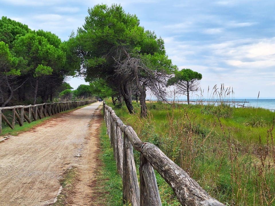 Apartment, 1 Bedroom, Terrace | Miscellaneous