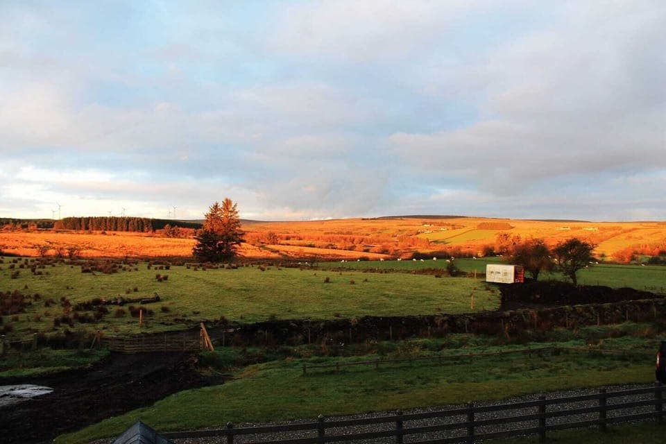 View from dinning room 