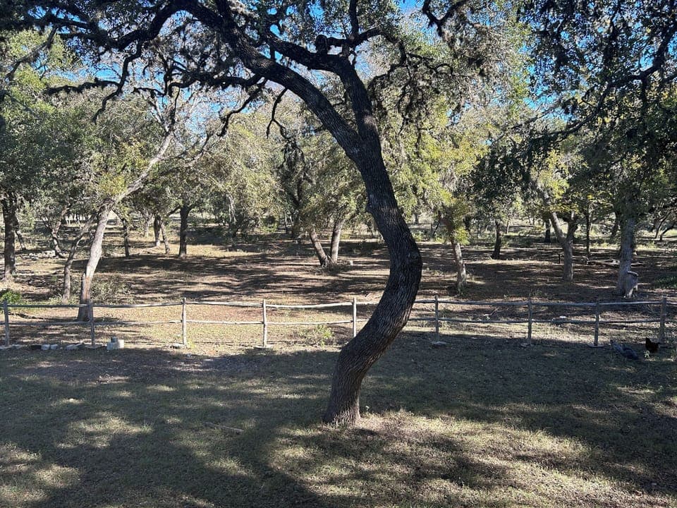 Huge yard lots of shade and fire pit