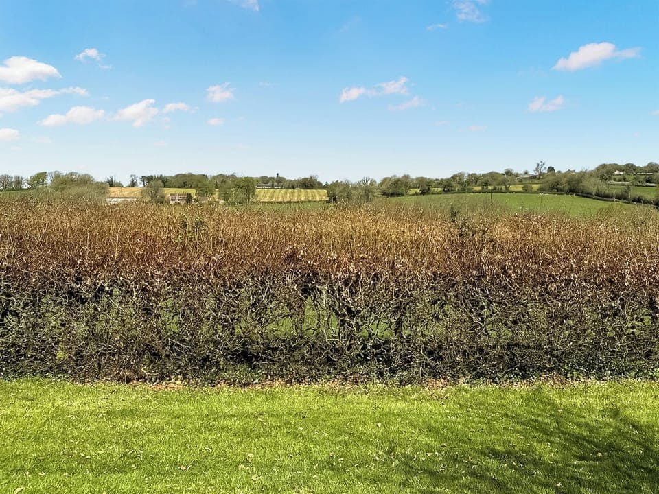 View | Lower Axford Cottage, Callington