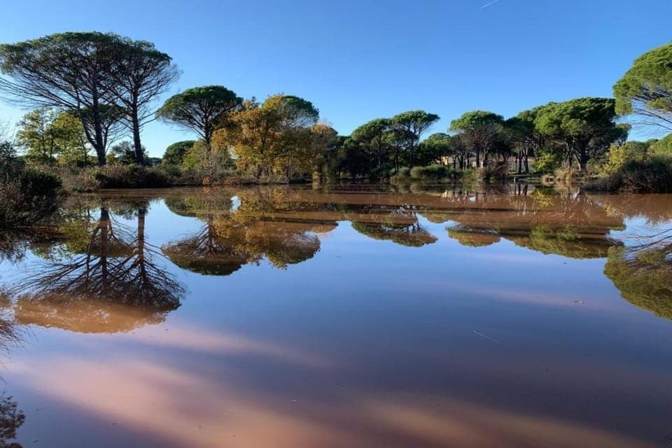 Region [summer] (>5 km)