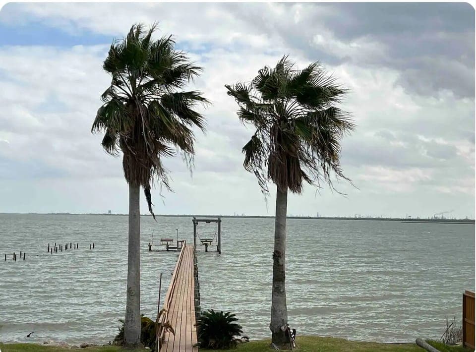 View from your private balcony of the 2 palms view of waterfront