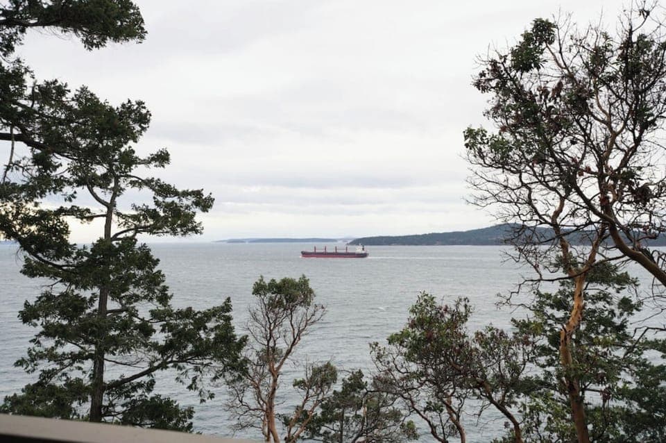View from property