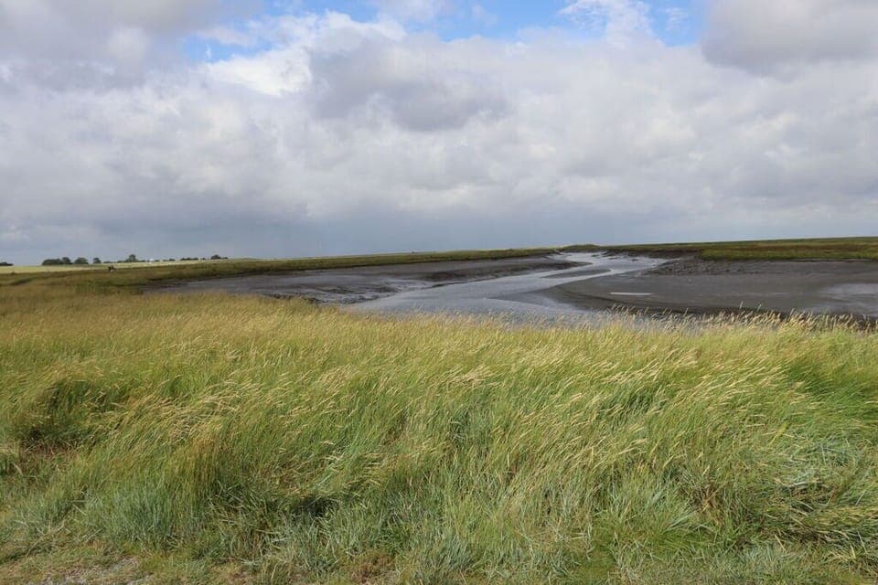 Surroundings [summer] (1-5 km)