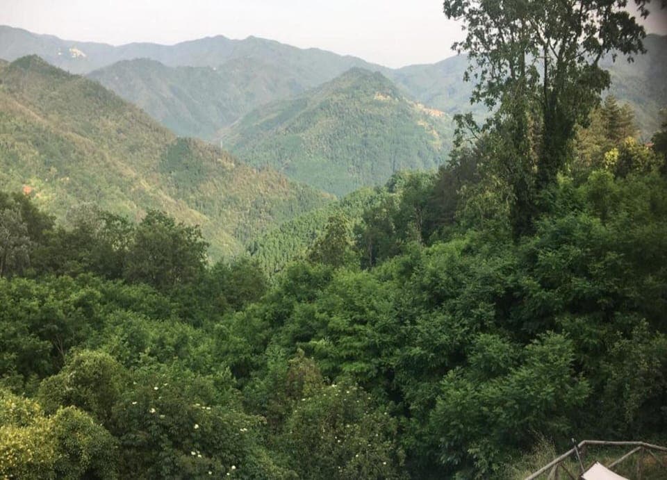 Cottage | View from property