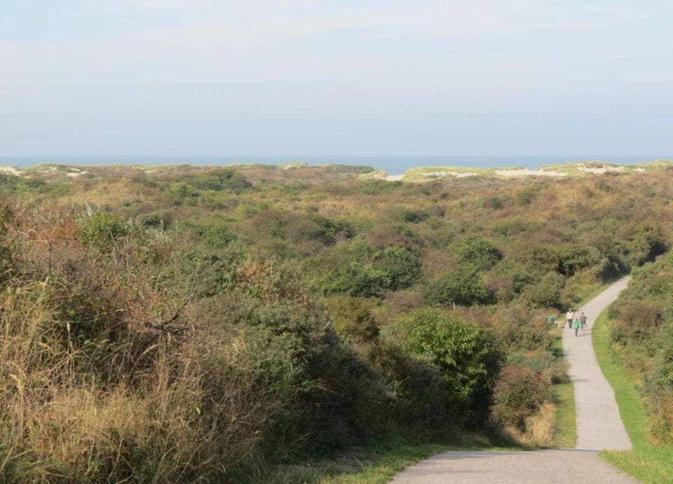 House | View from property